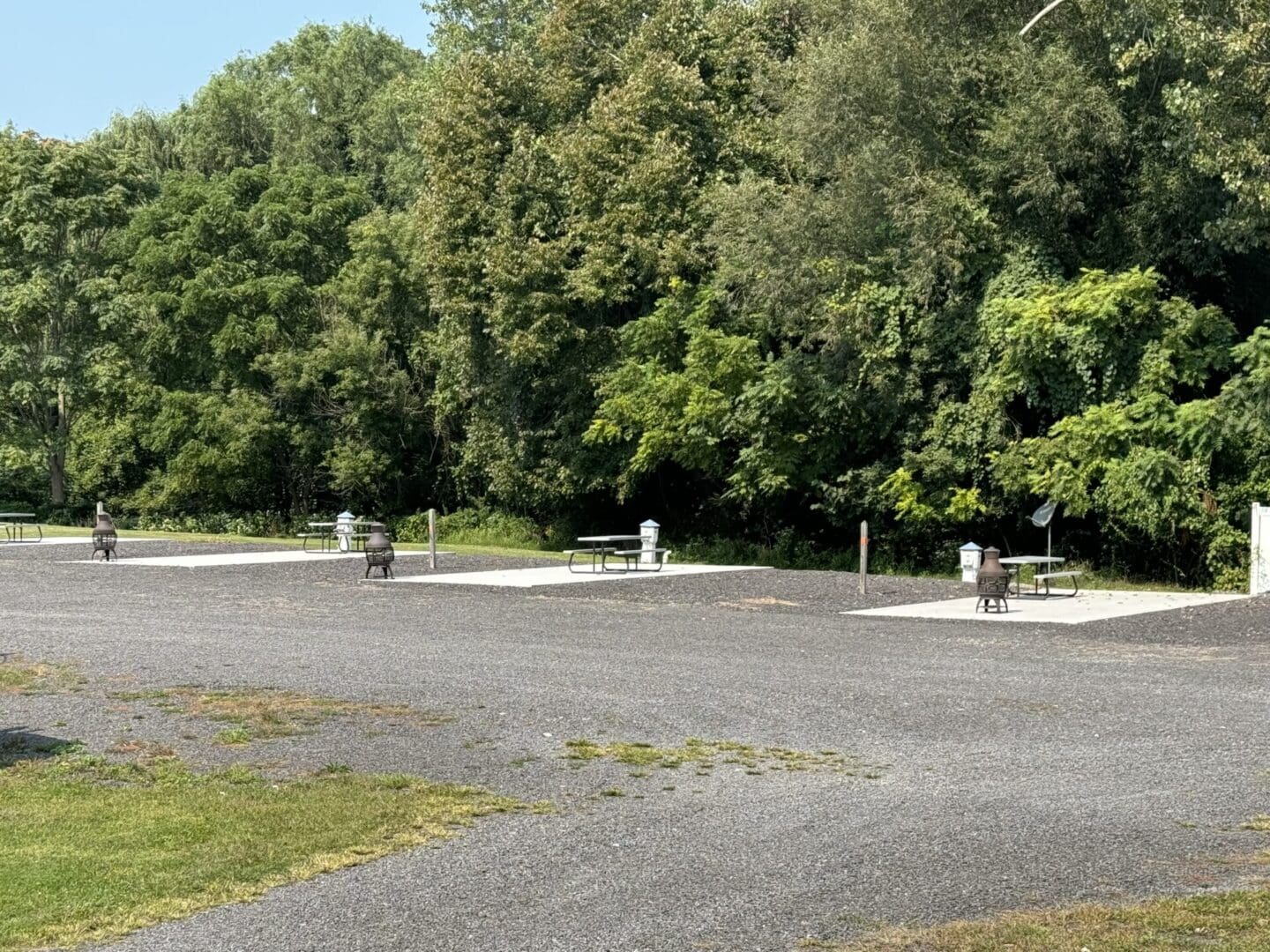 A parking lot with trees and bushes in the background.